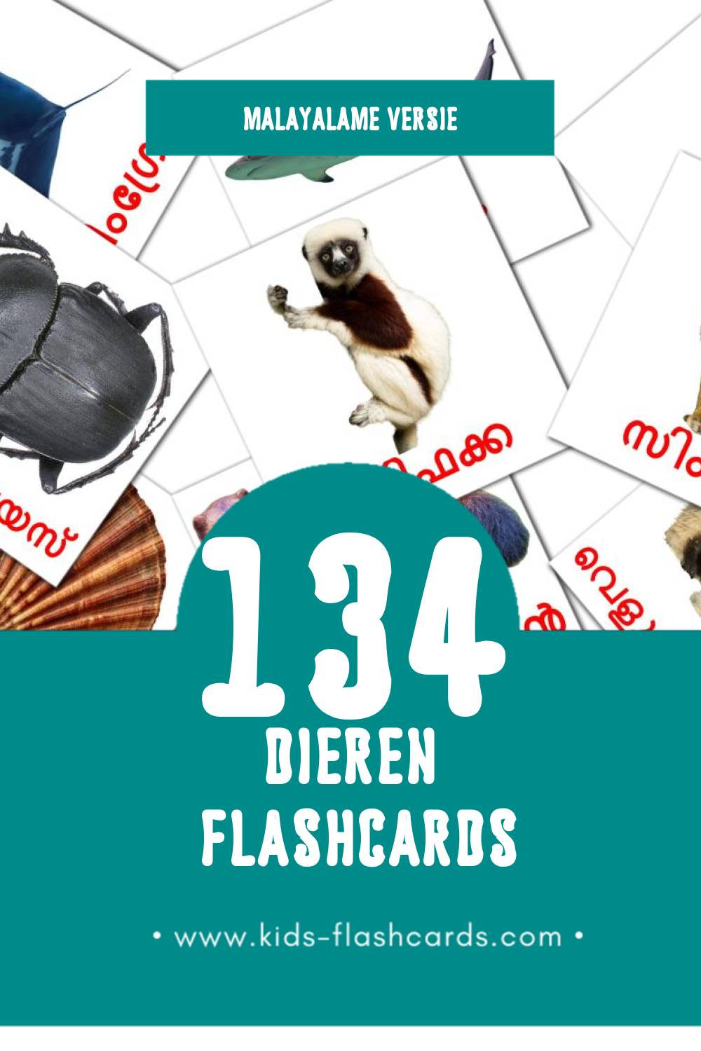 Visuele മൃഗങ്ങൾ Flashcards voor Kleuters (134 kaarten in het Malayalam)