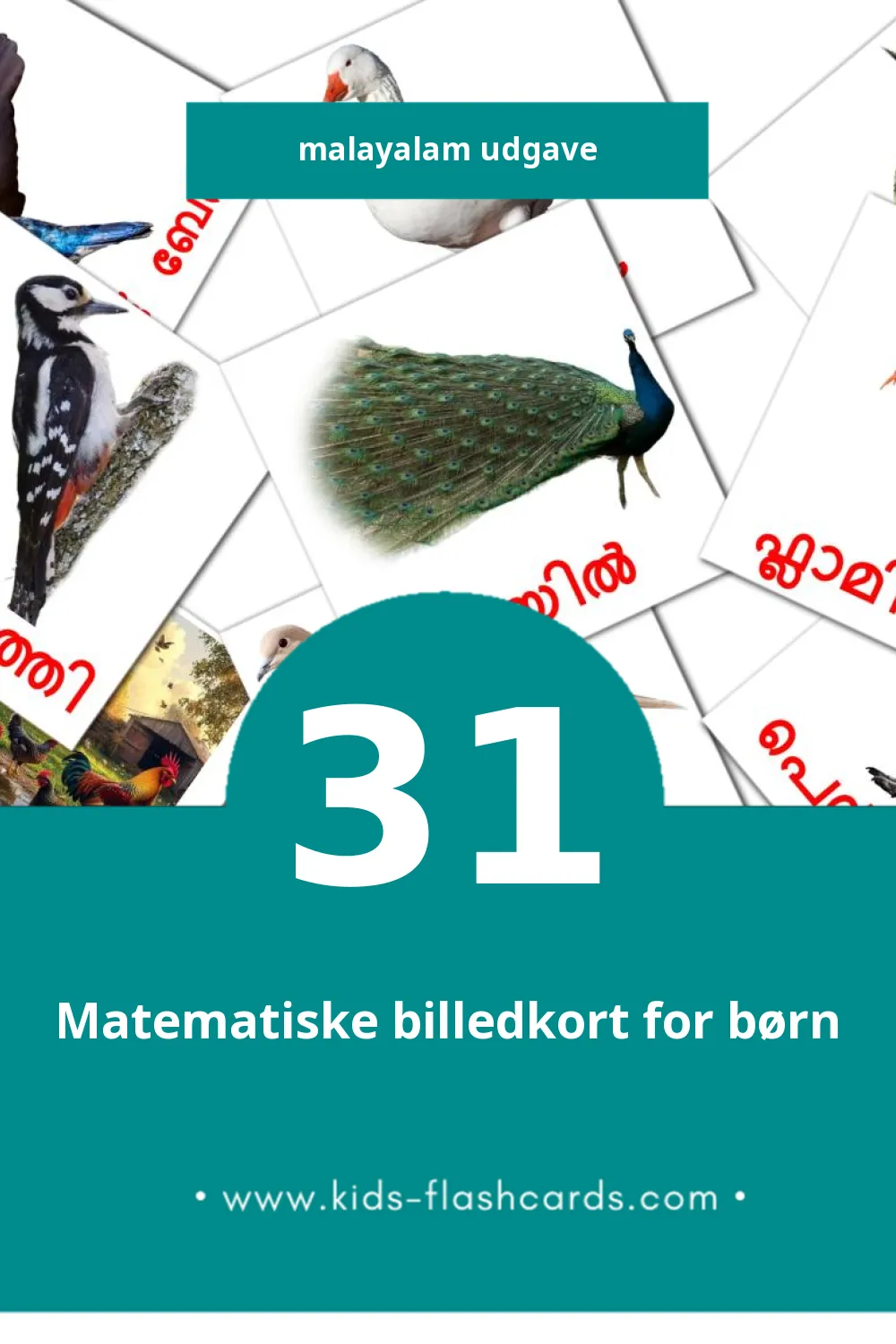 Visuelle billedkort for børn om പക്ഷികൾ til småbørn (31 kort på Malayalam)