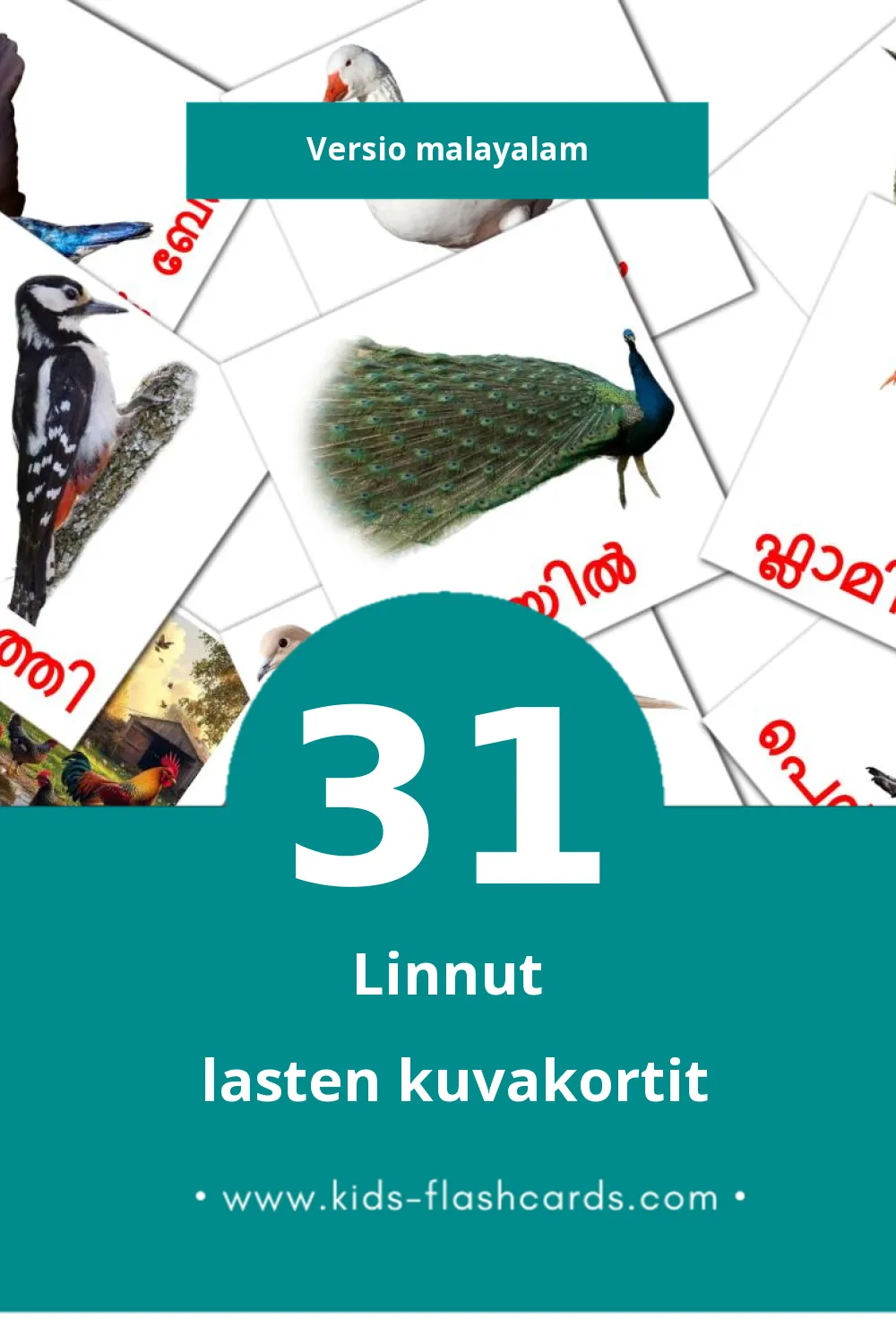 പക്ഷികൾ lasten kuvakortit pikkulapsille (31 korttia Malayalamksi)