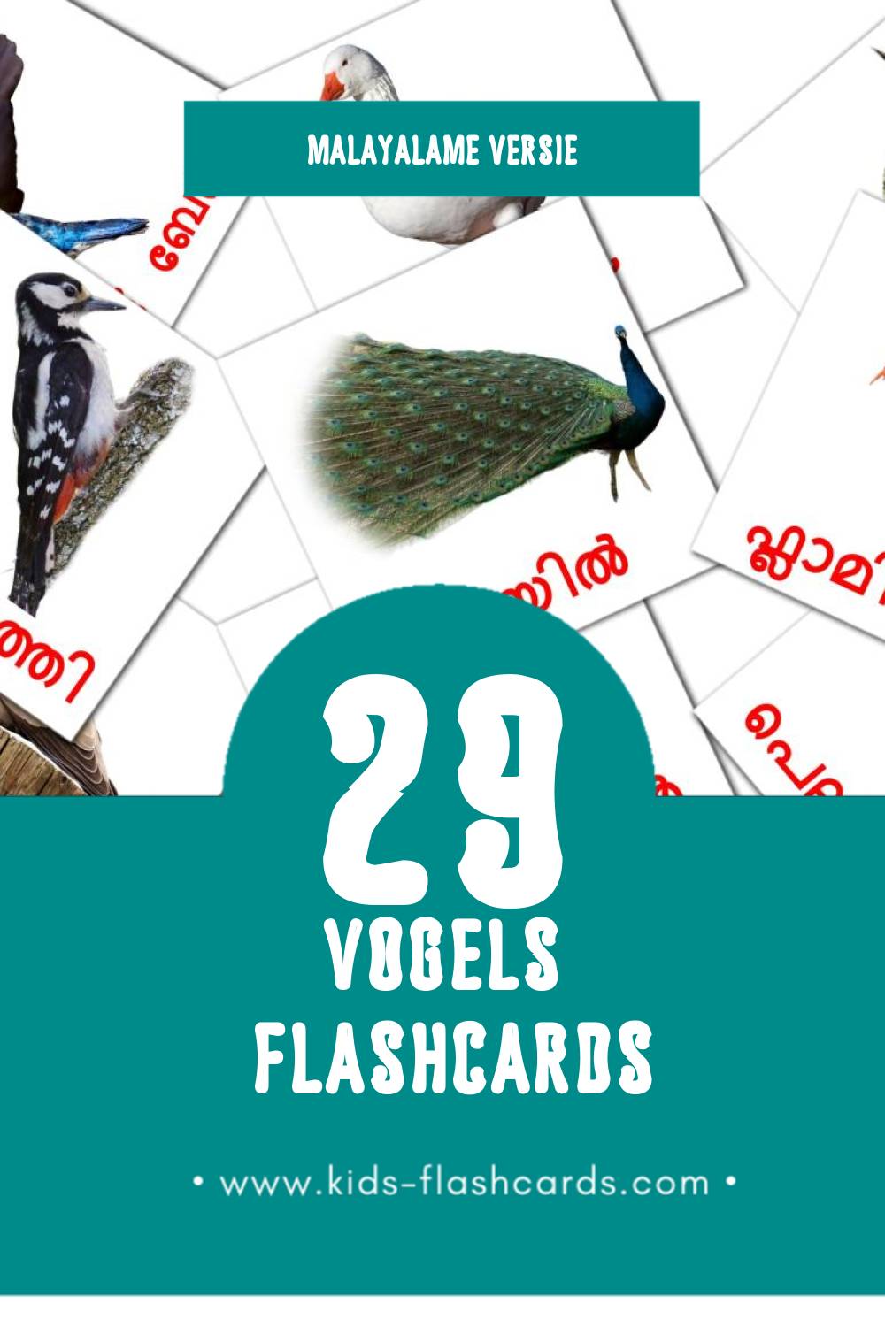 Visuele പക്ഷികൾ Flashcards voor Kleuters (29 kaarten in het Malayalam)