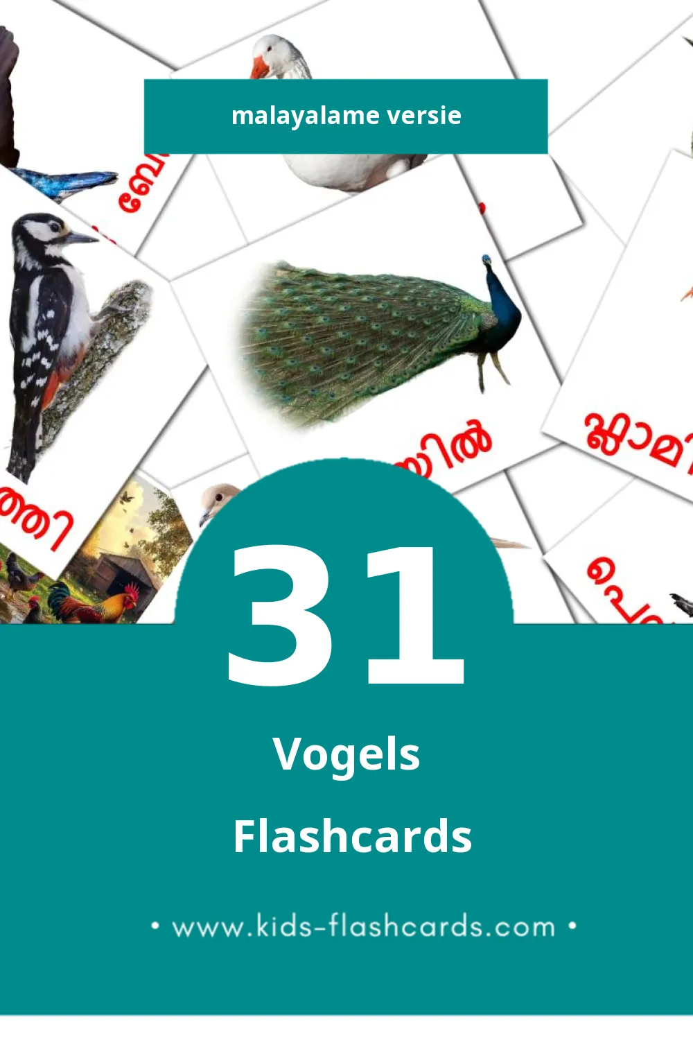 Visuele പക്ഷികൾ Flashcards voor Kleuters (31 kaarten in het Malayalam)