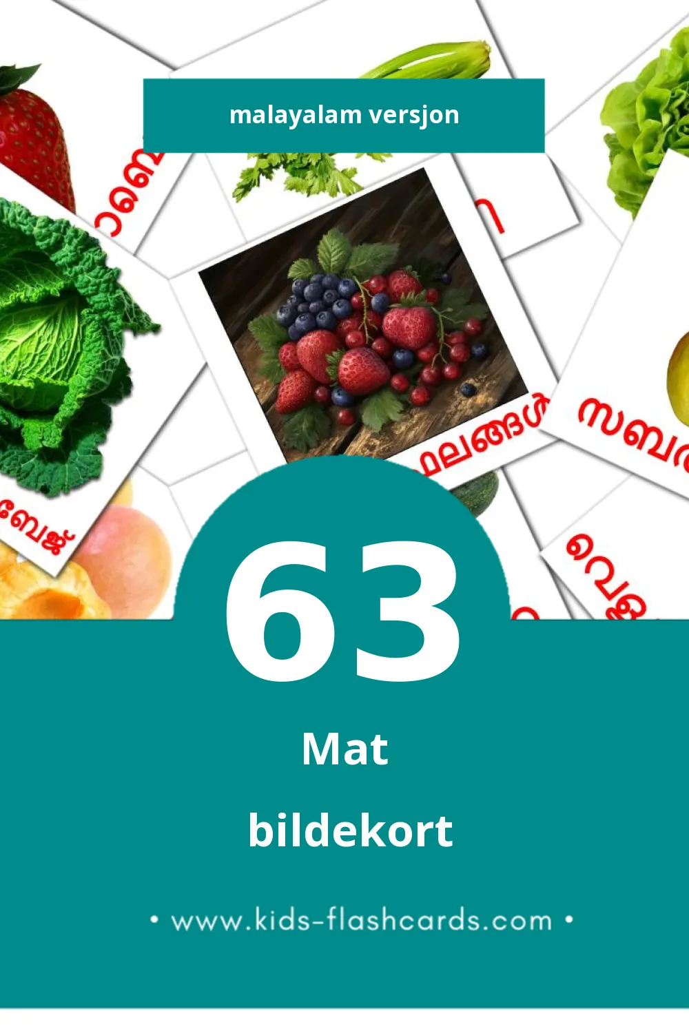 Visuelle ഭക്ഷണം bildekort for småbarn (63 kort på Malayalam)