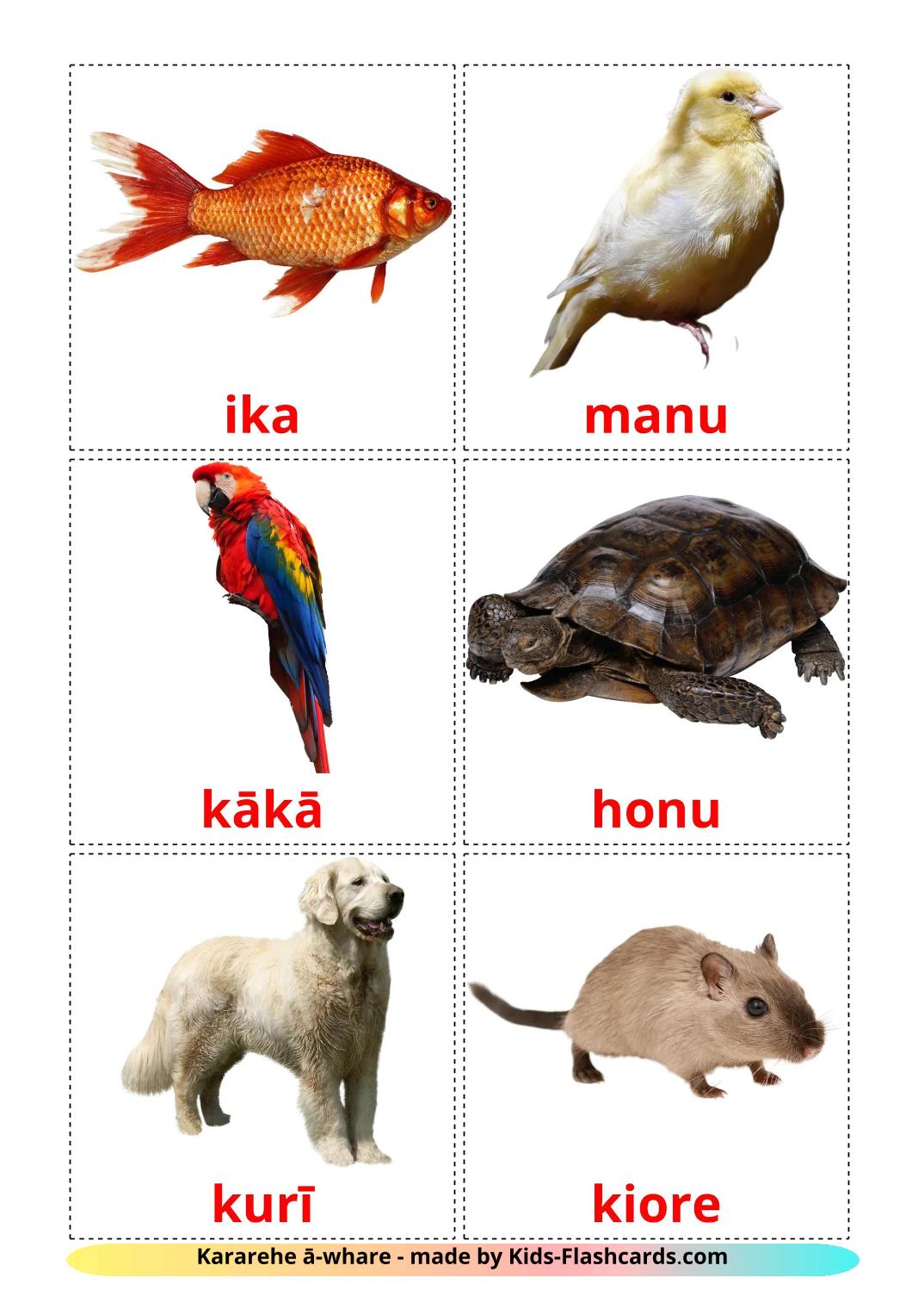 Domestic animals - 11 Free Printable maori Flashcards 