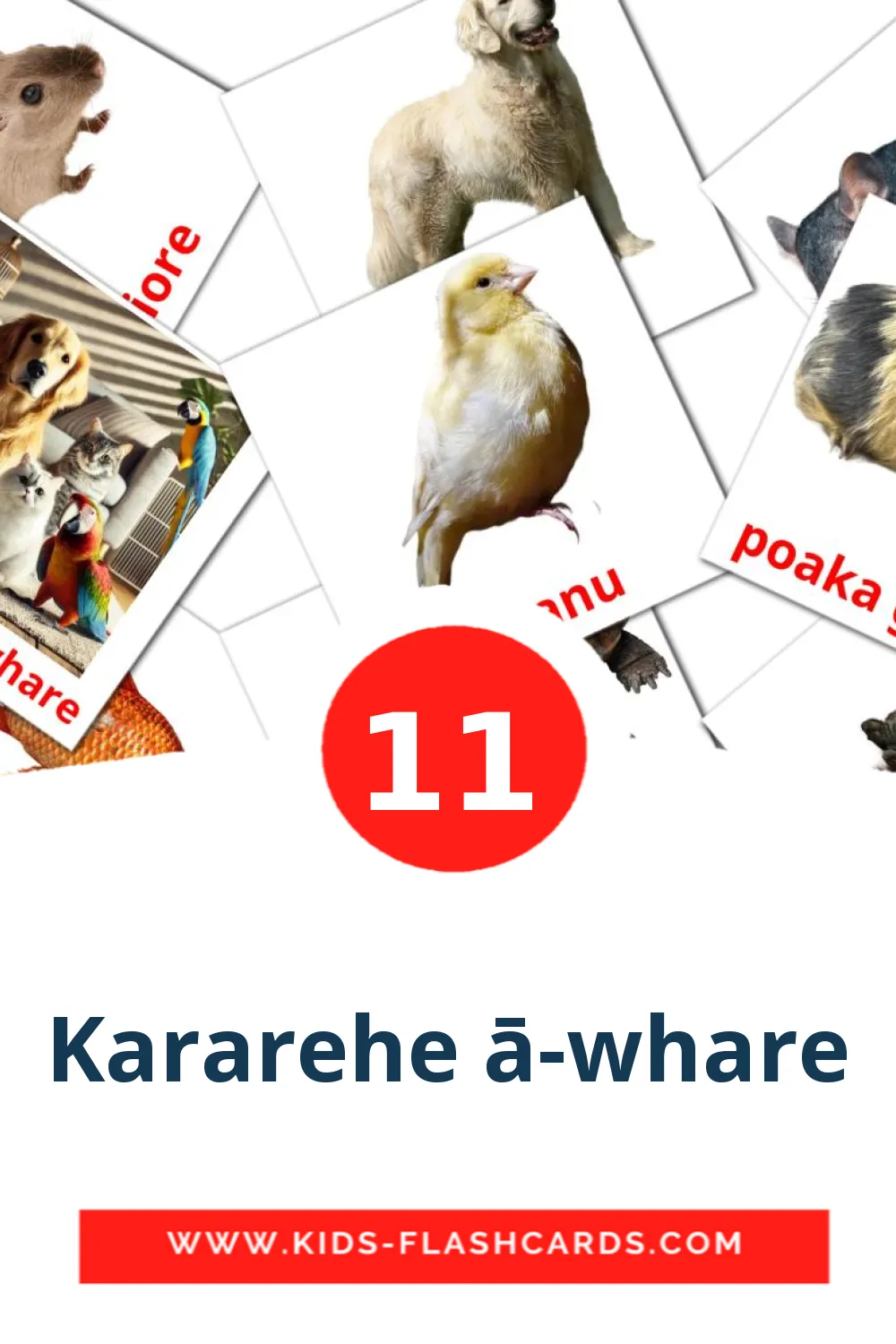 11 Kararehe ā-whare Picture Cards for Kindergarden in maori