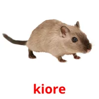 kiore picture flashcards