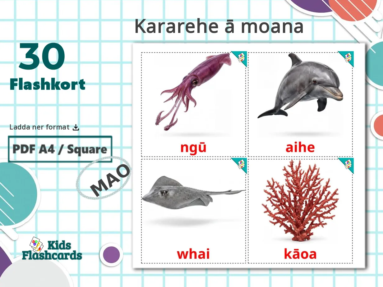30 GRATIS Havsdjur Bildkort I 4 PDF format Maori Bilder