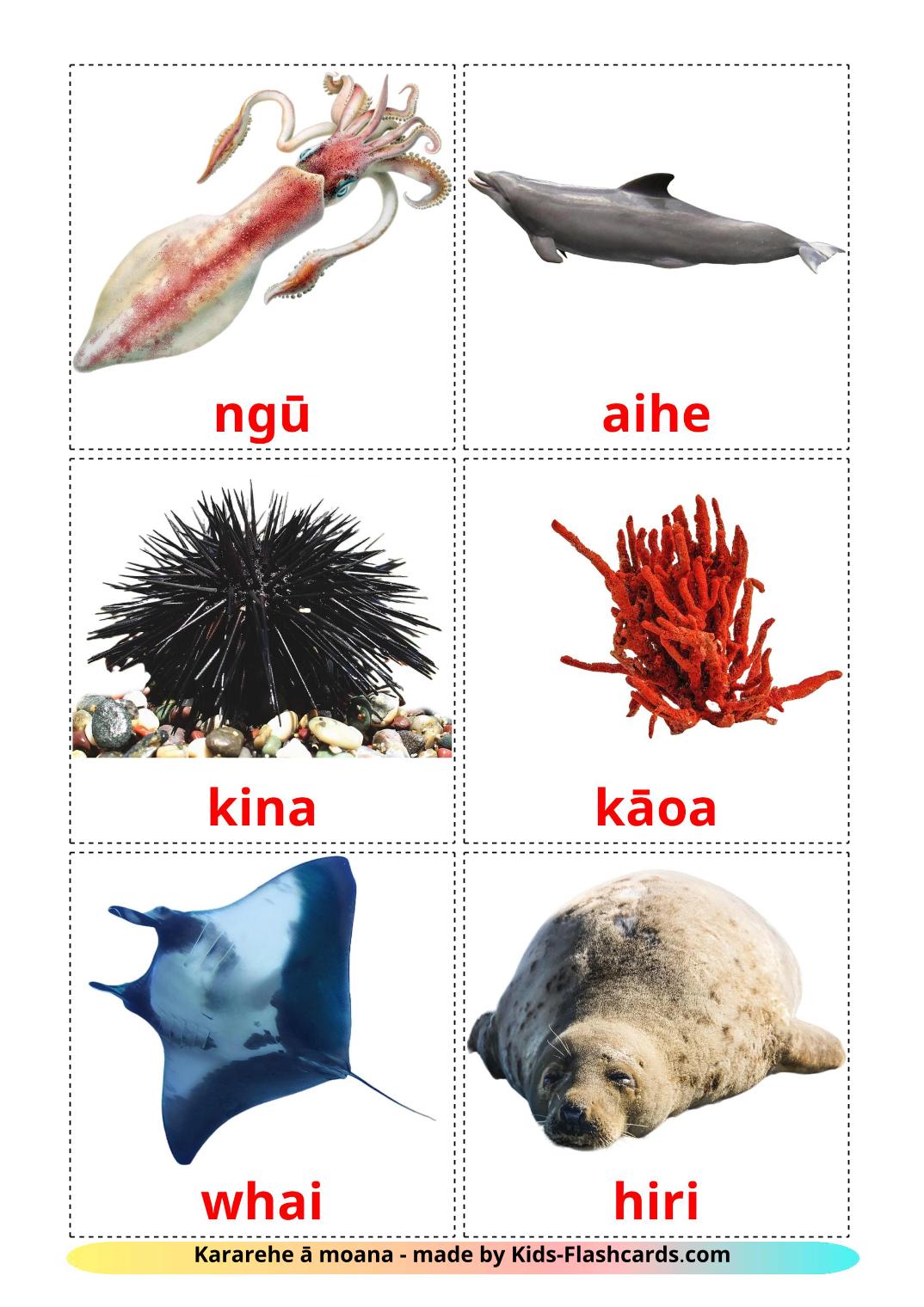 Sea animals - 29 Free Printable maori Flashcards 