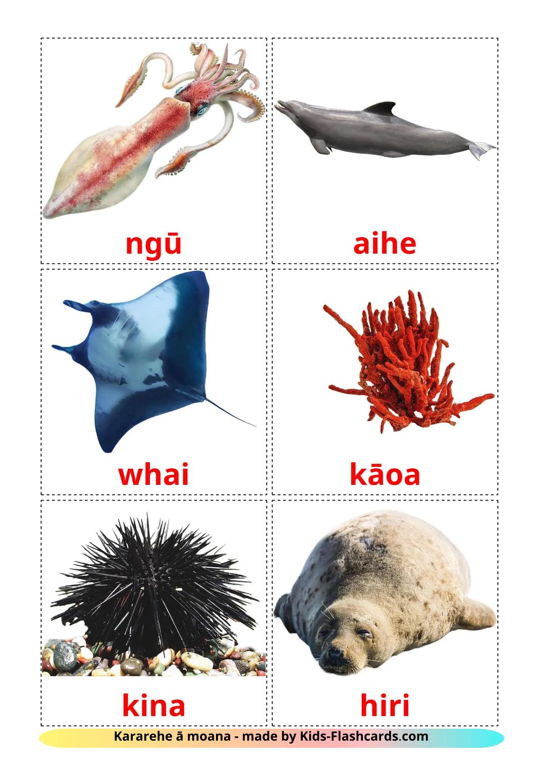 Sea animals - 30 Free Printable maori Flashcards 