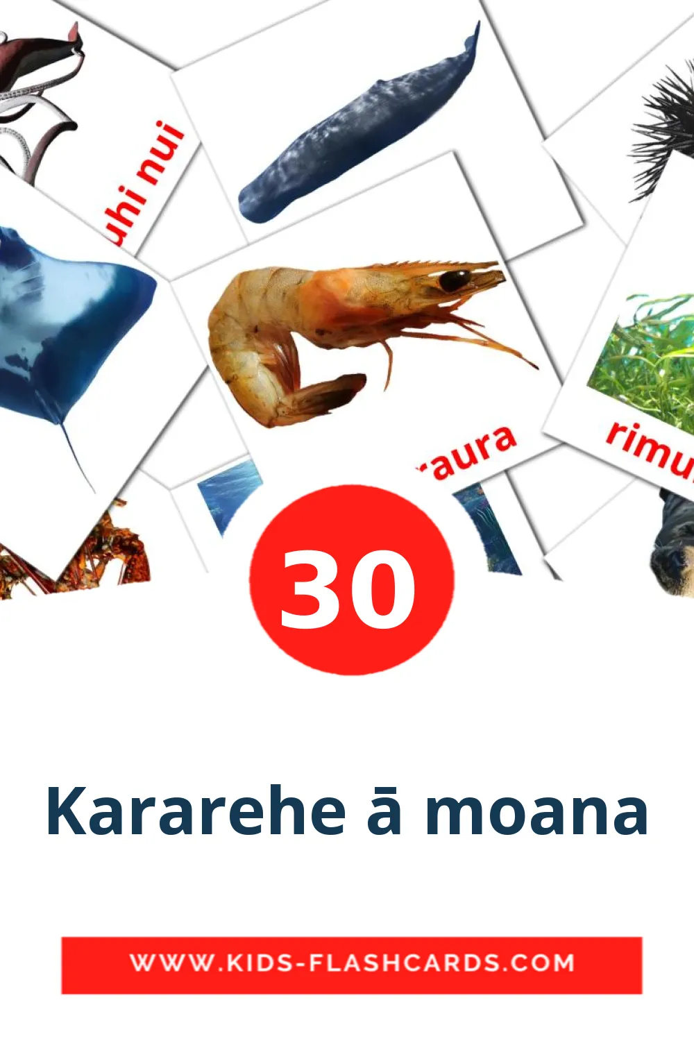 30 Kararehe ā moana Picture Cards for Kindergarden in maori