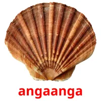 angaanga picture flashcards