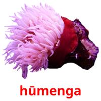 hūmenga card for translate