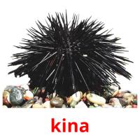 kina card for translate