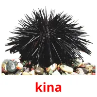 kina picture flashcards