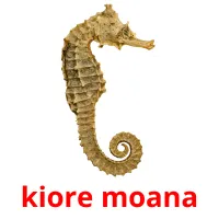 kiore moana picture flashcards