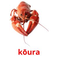 kōura card for translate