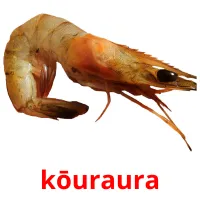 kōuraura picture flashcards