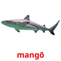 mangō picture flashcards