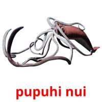 pupuhi nui picture flashcards