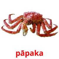 pāpaka picture flashcards