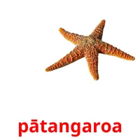 pātangaroa picture flashcards