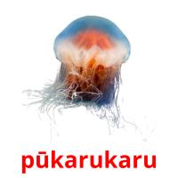 pūkarukaru card for translate
