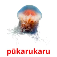 pūkarukaru picture flashcards