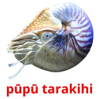 pūpū tarakihi picture flashcards