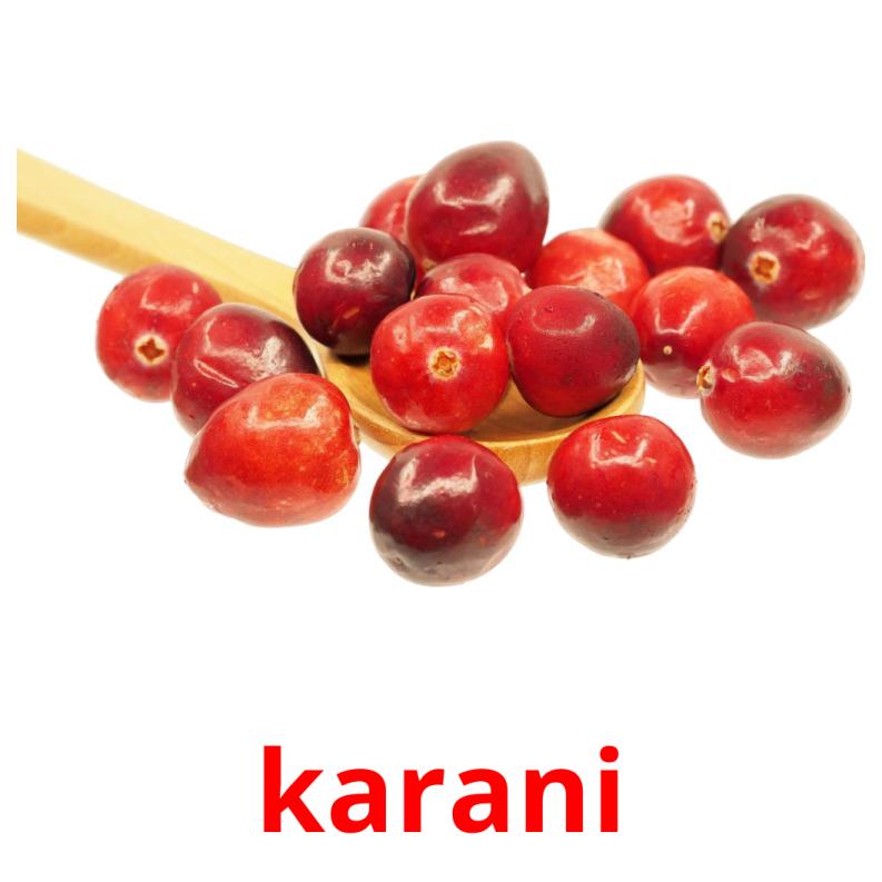 karani picture flashcards
