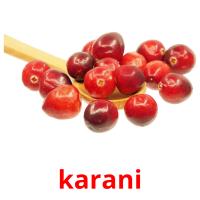 karani flashcards illustrate