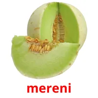 mereni picture flashcards