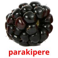 parakipere picture flashcards
