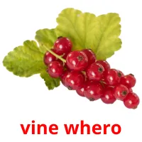 vine whero picture flashcards