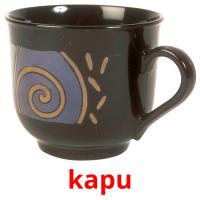 kapu picture flashcards