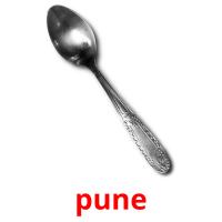 pune picture flashcards