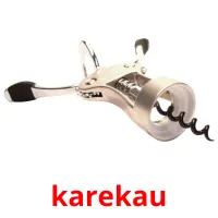 karekau cartes flash