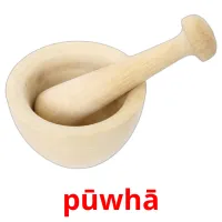 pūwhā cartes flash