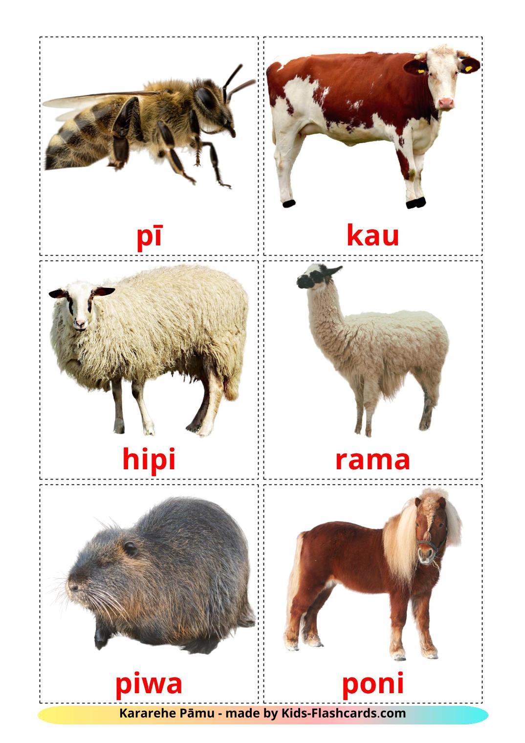 Farm animals - 15 Free Printable maori Flashcards 