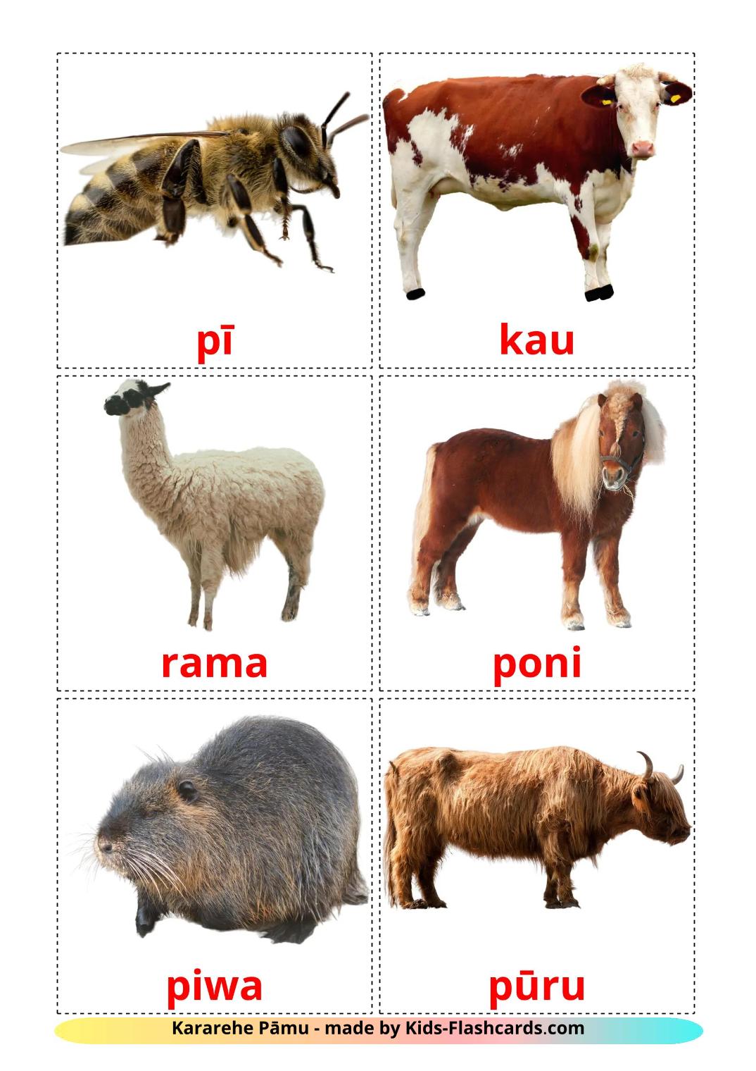 Farm animals - 16 Free Printable maori Flashcards 