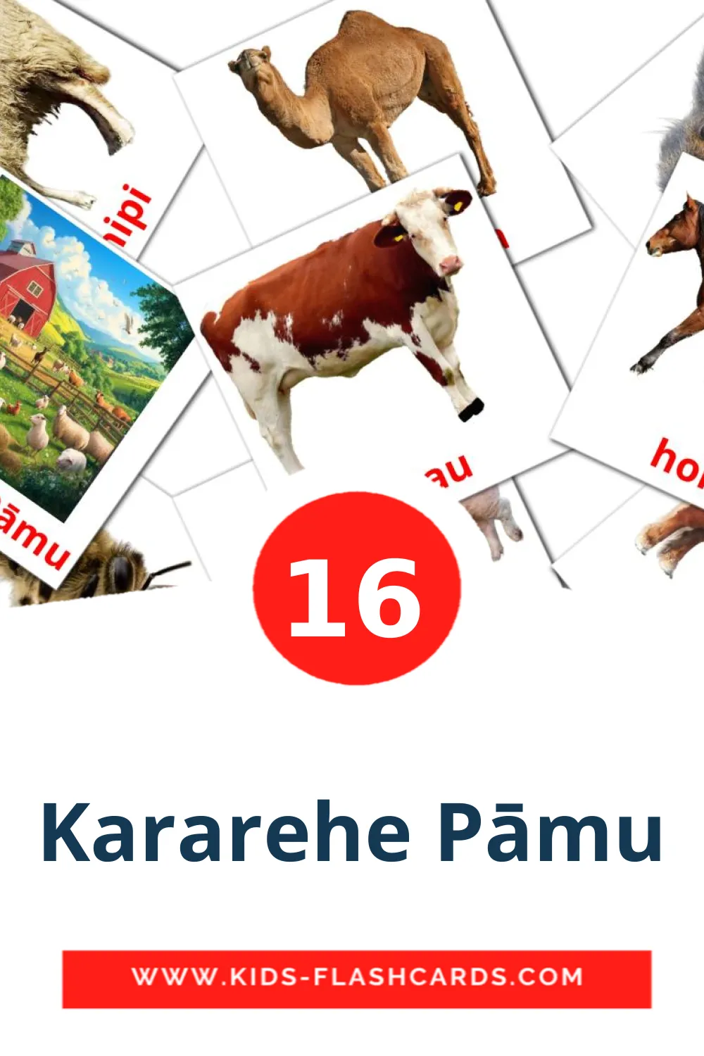 16 Kararehe Pāmu Picture Cards for Kindergarden in maori