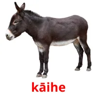 kāihe picture flashcards