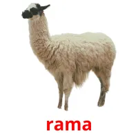 rama picture flashcards