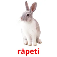 rāpeti picture flashcards