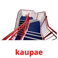 kaupae picture flashcards