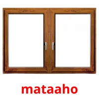 mataaho picture flashcards