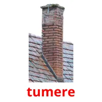 tumere picture flashcards