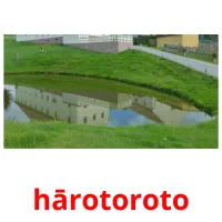 hārotoroto picture flashcards