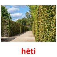 hēti card for translate