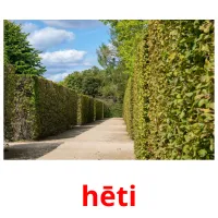 hēti picture flashcards