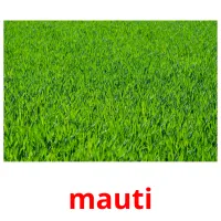 mauti picture flashcards