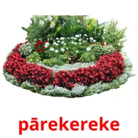 pārekereke picture flashcards